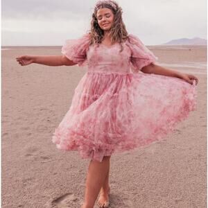 Jessakae The Jewel Dress Pink Size Large NEW NWT Puff Sleeve Organza Romantic